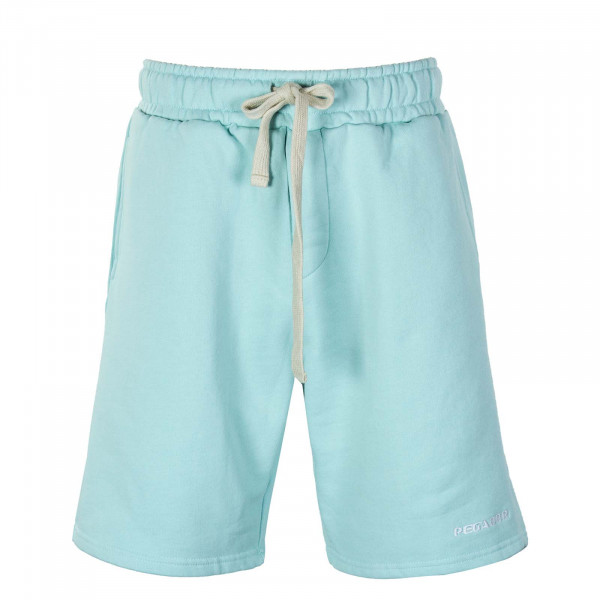Herren Shorts - Logo Heavy Sweat - Washed Turquoise