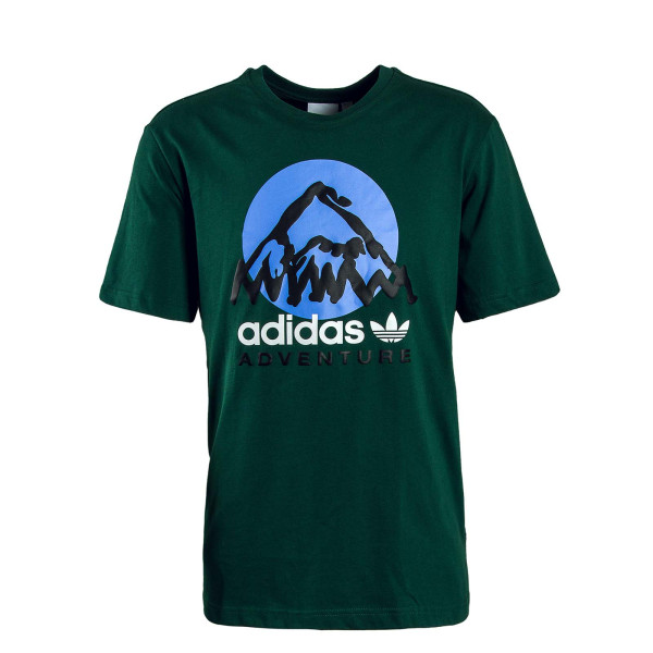 Herren T-Shirt - ADV Mountain F - Green